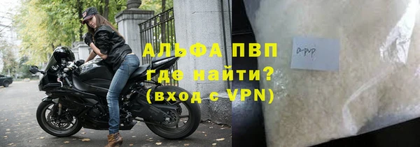 спиды Щигры