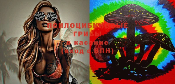 прущий лед Карталы