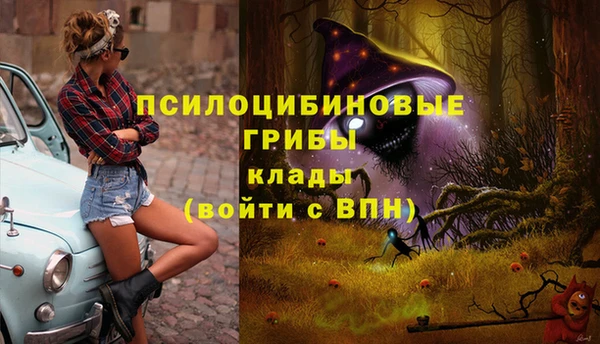 jwh Касимов