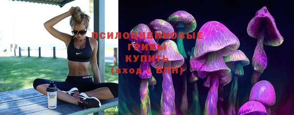 прущий лед Карталы