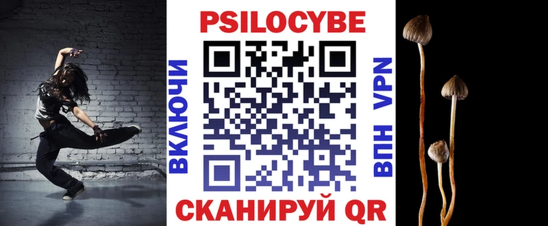hydra как зайти  Чудово  Галлюциногенные грибы MAGIC MUSHROOMS 